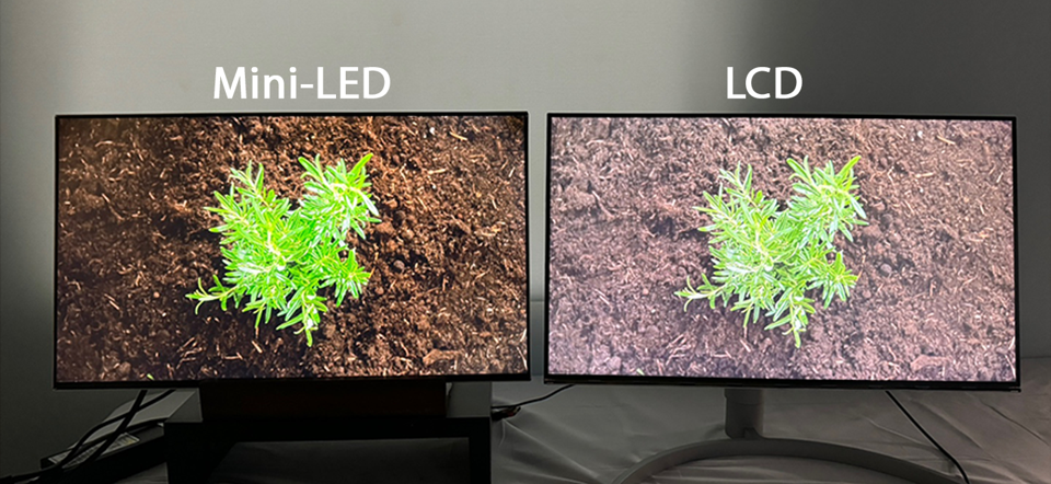 Side-by-side Mini LED vs LCD display
showing a green plant on soil, emphasizing Mini LED's higher contrast and natural color reproduction